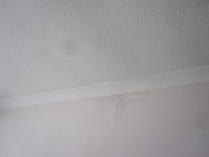 Leaking roof damage